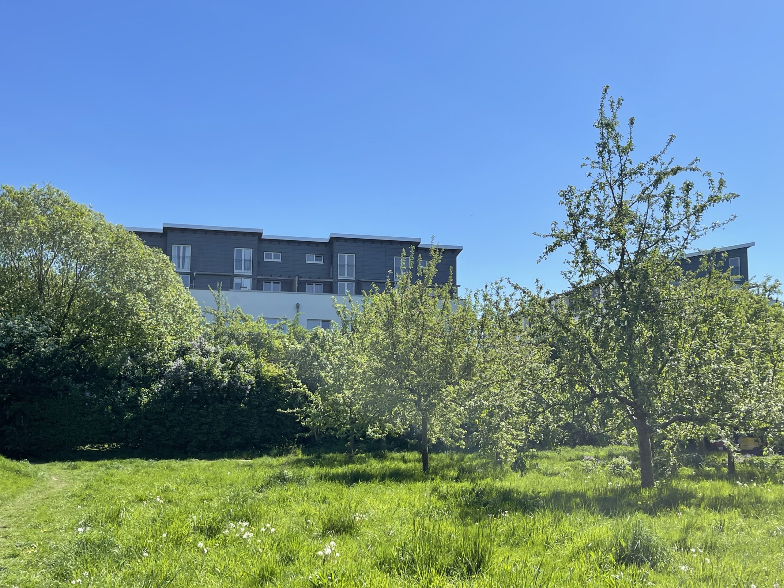 Rückansicht