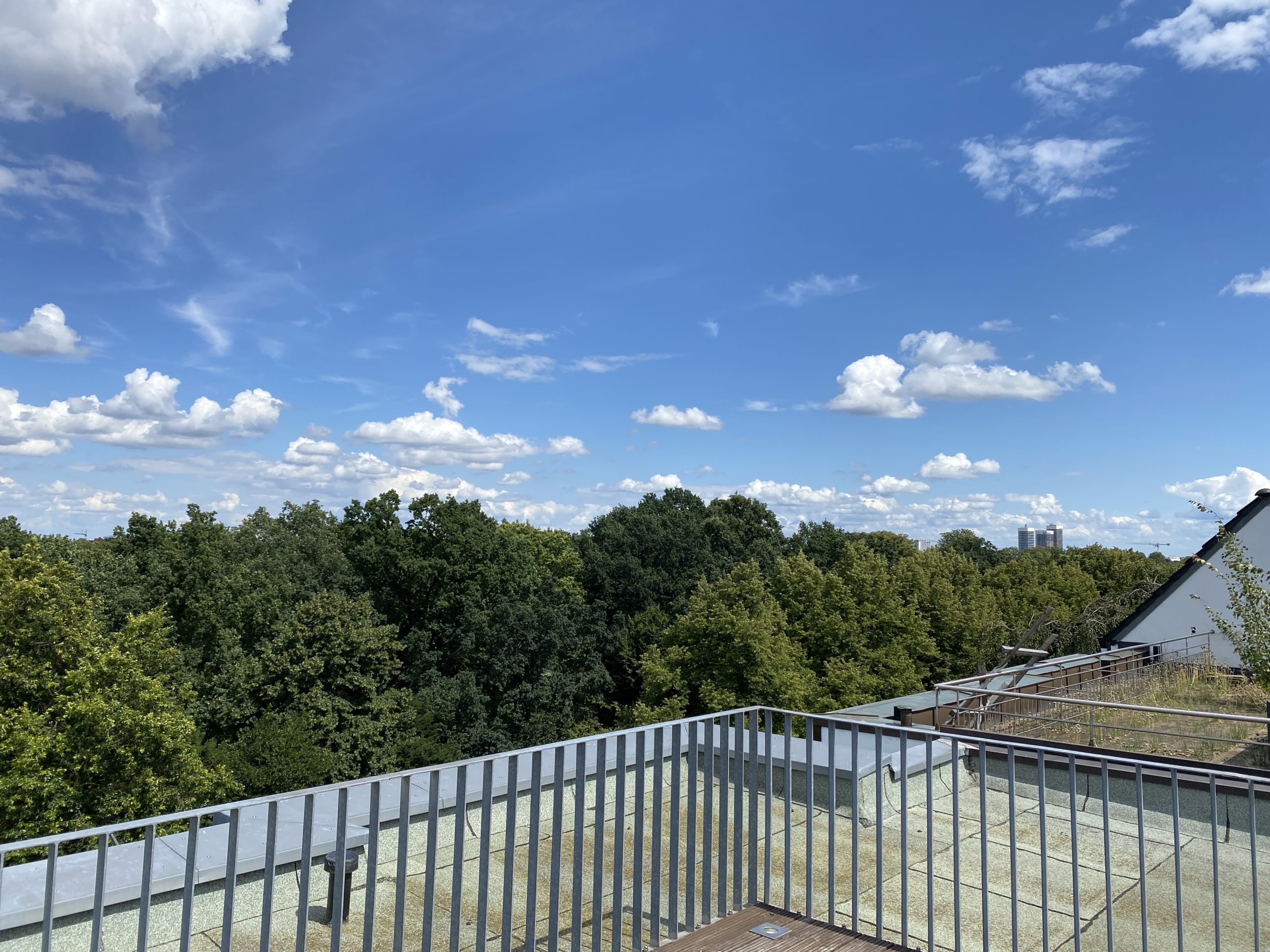 Dachterrasse (5)