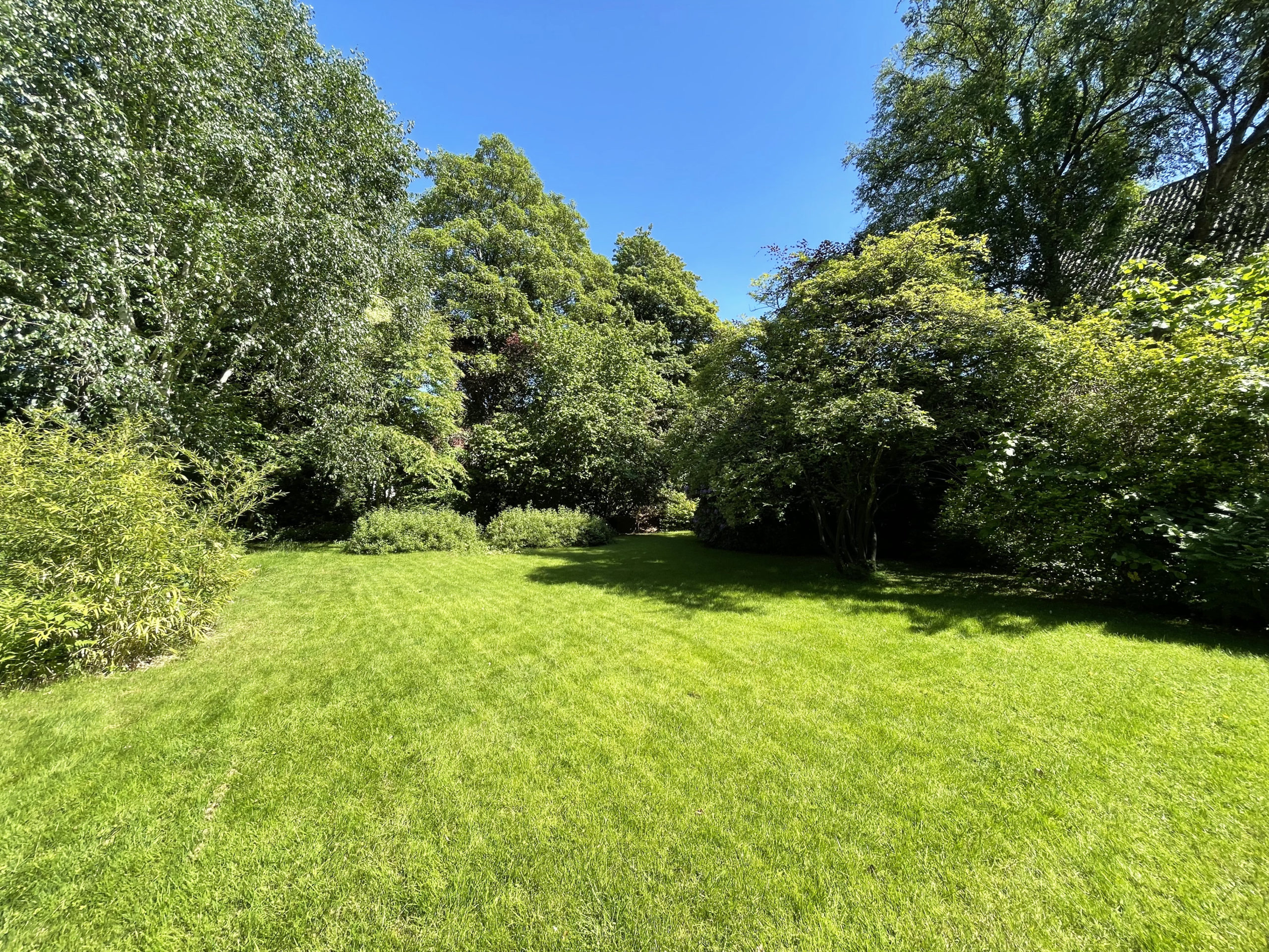 Garten hinten
