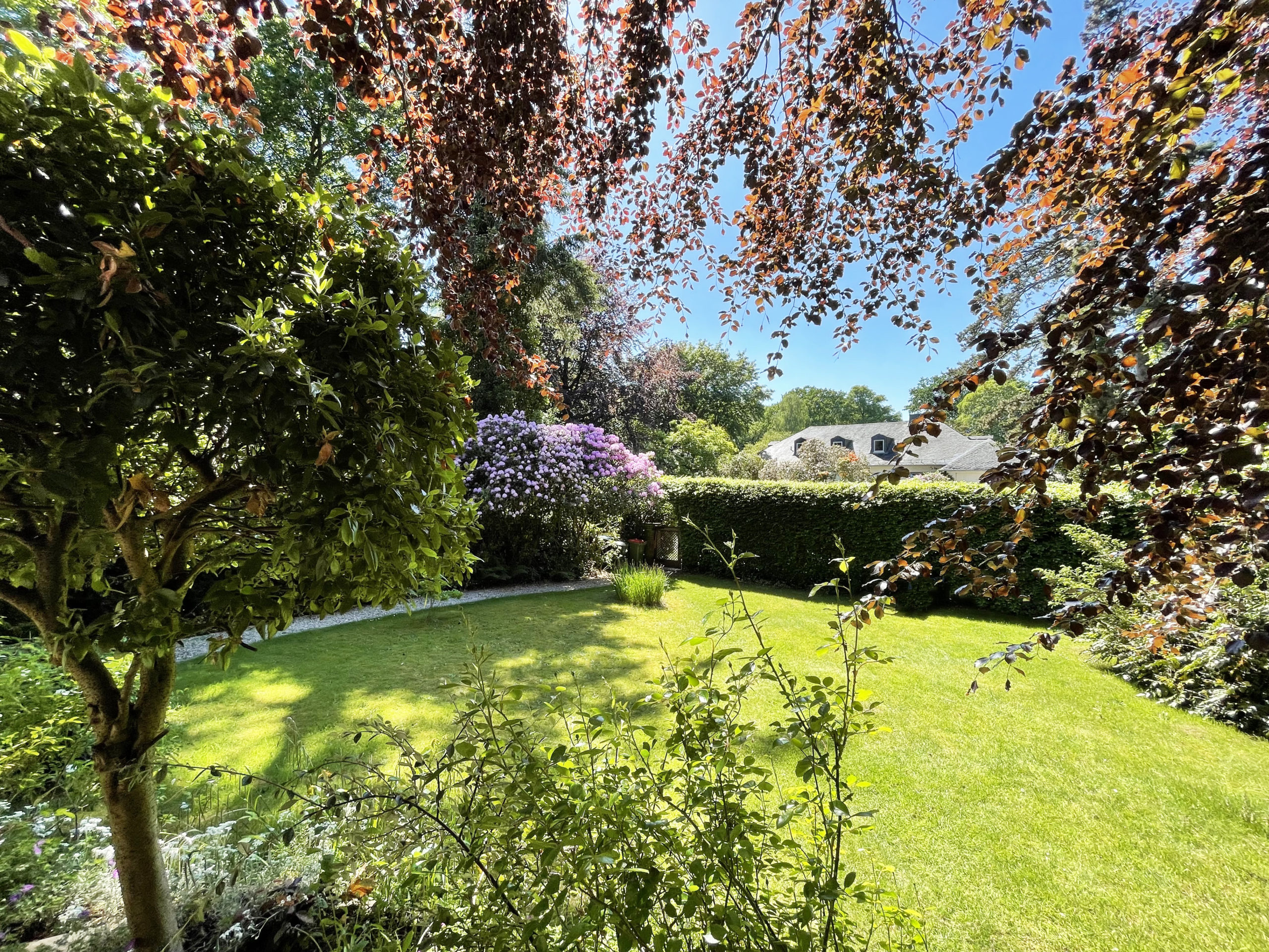 Garten vorne