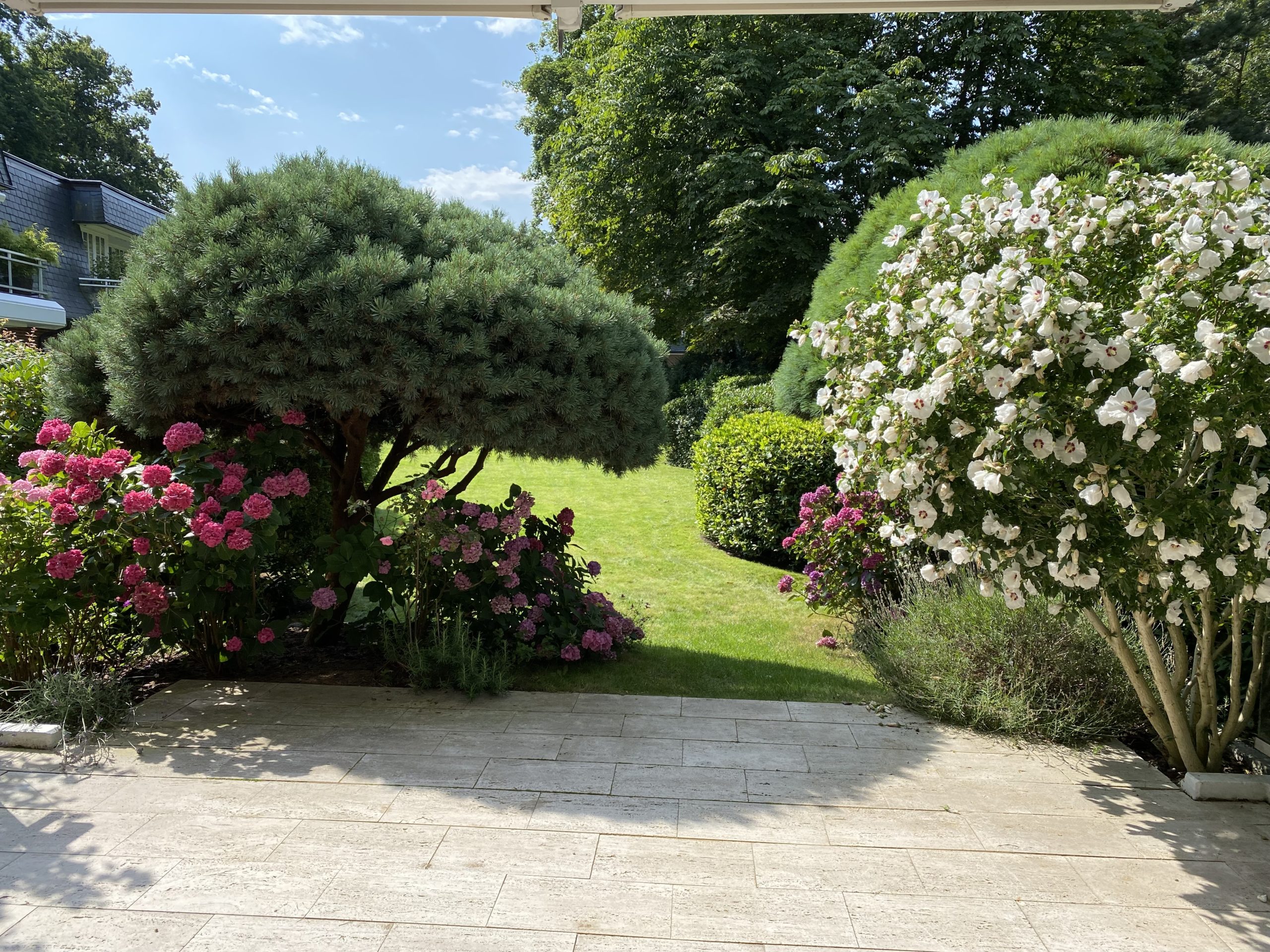 Gartenansicht (1)
